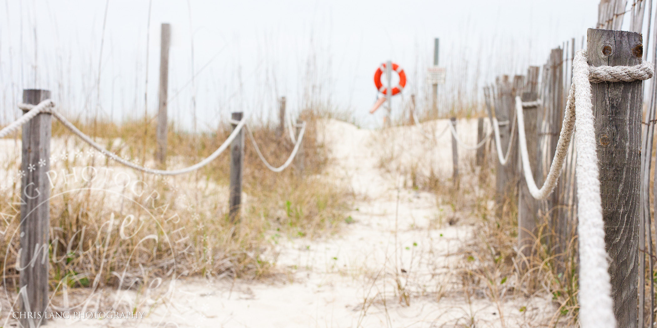 Bald Head Island Photography - Picture of a beach trail leading to the atlantic ocean