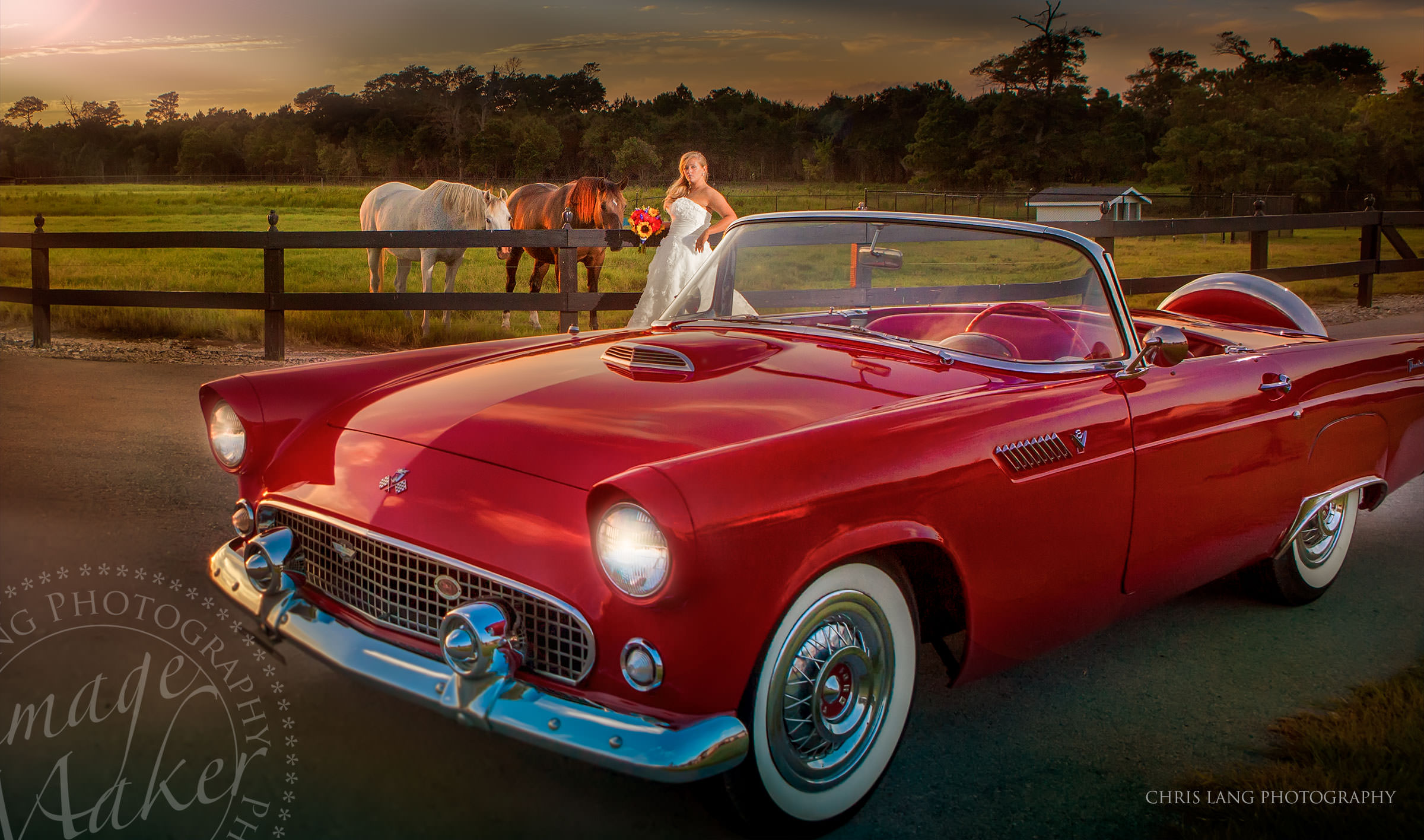 Image of bride with a horse and a red Ford Thunderbird convertable - wedding dress - Wilmington-NC-Wedding-Photographers-Videographers - Lifestyle Wedding Photography